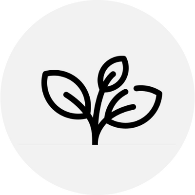 files/Celine_Lys-Sustainble_1cd09278-f3b5-4034-b4b6-b86d386cf967.png