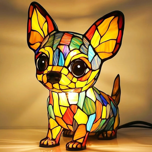 Encanto Chihuahua